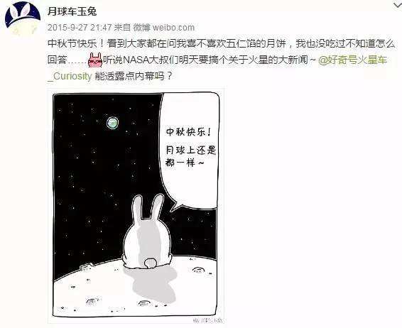 与孤独斗争972天 那只顽强的兔子永远离开了我们