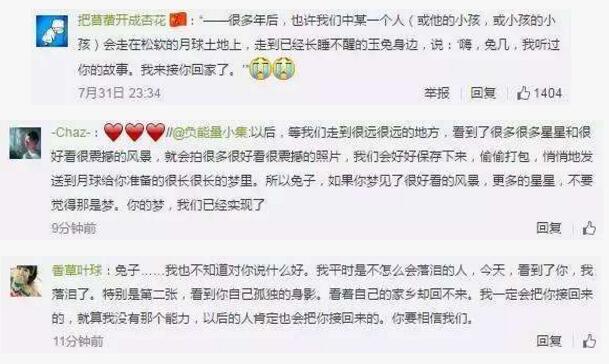 与孤独斗争972天 那只顽强的兔子永远离开了我们