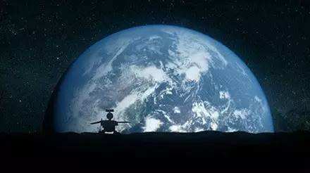 与孤独斗争972天 那只顽强的兔子永远离开了我们