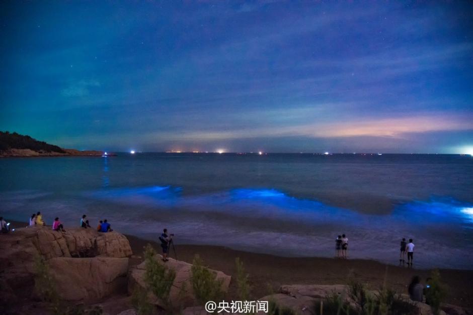 ������̲�־����������������ɾ�