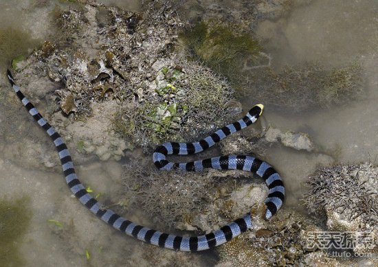 �й�ʮ�������а�