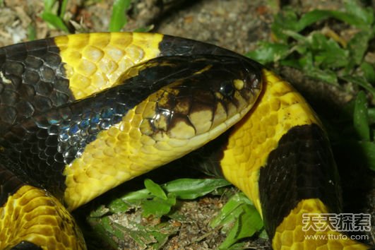 �й�ʮ�������а�