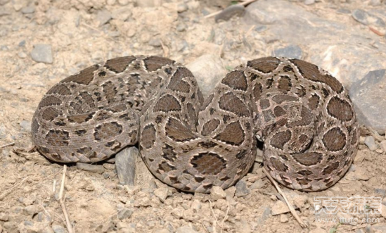 �й�ʮ�������а�