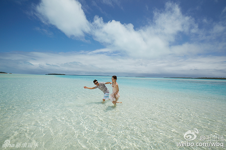 ���ػ�Ӧ����ǿ���������� �ƶ���������