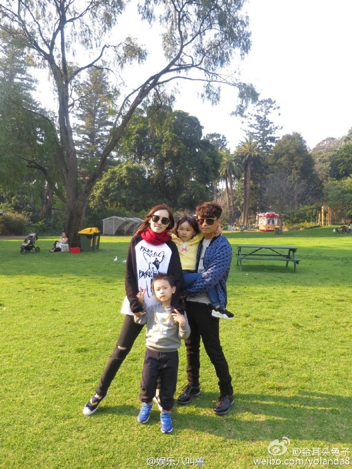 ���ػ�Ӧ����ǿ���������� �ƶ���������