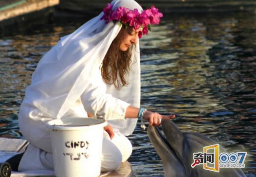 百万富婆与35岁海豚结婚 世界第一人
