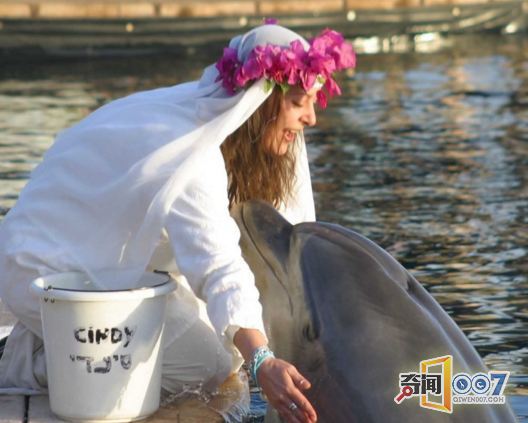 百万富婆与35岁海豚结婚 世界第一人
