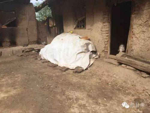 (另一间危房里面养猪)