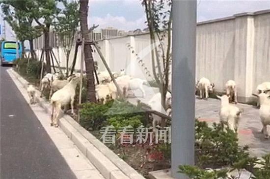 Ⱥ���������߶�·����·��·�ڣ��ƺƵ�������·���й�