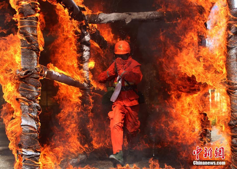 ����ɭ��ʵս��ѵ����Խ��