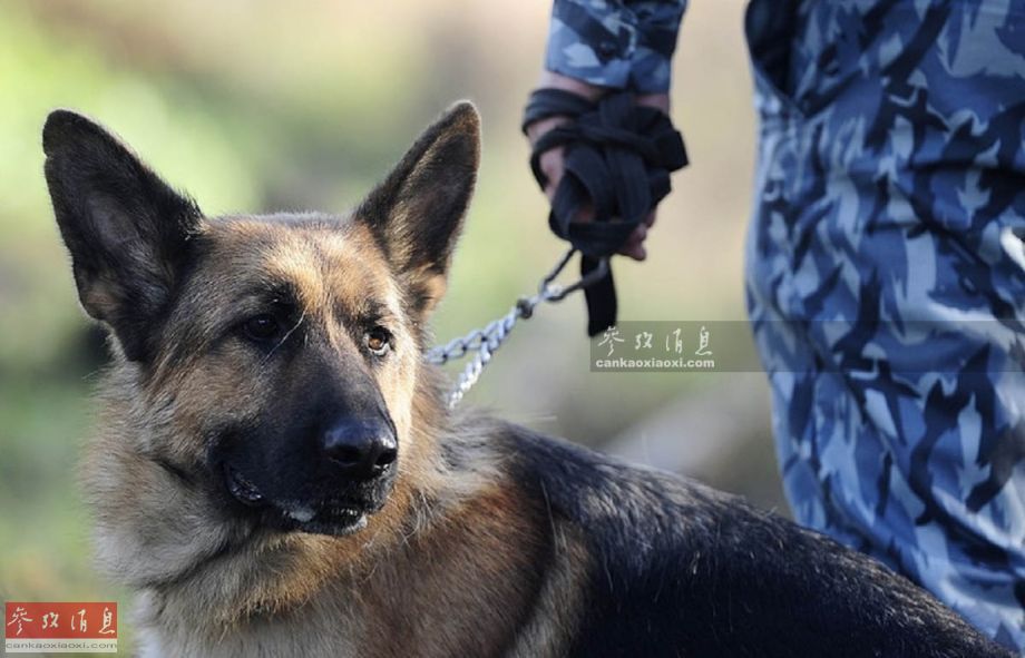 ������!���侯��ս����ġ���Ȯ�����(��ͼ)