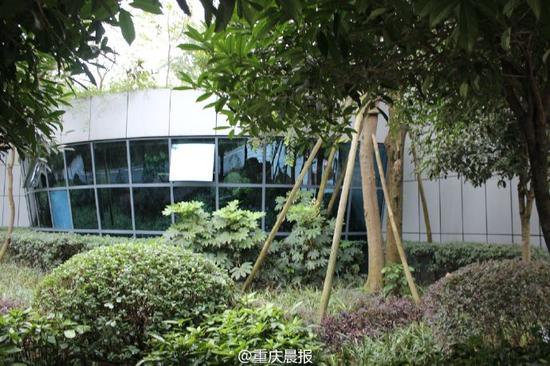 ͸������