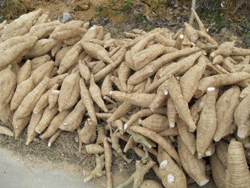 �Ĵ����֡�������� ��������������һ����