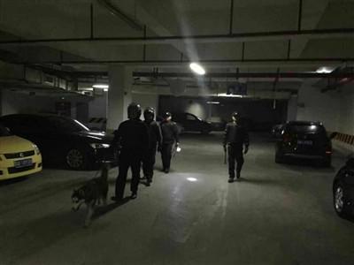 护卫队全副武装巡逻,哈士奇走在最前面 图片由网友陈女士提供