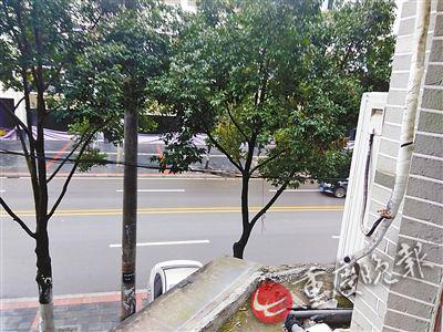 二楼窗外是露台,距离露台1米开外是行道树。