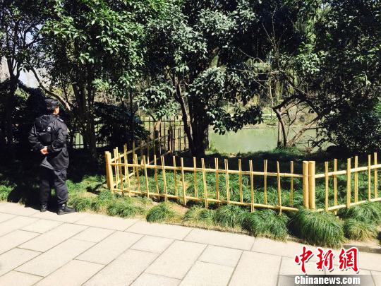 扬州瘦西湖景区黑天鹅被虐警方正全力寻肇事游客