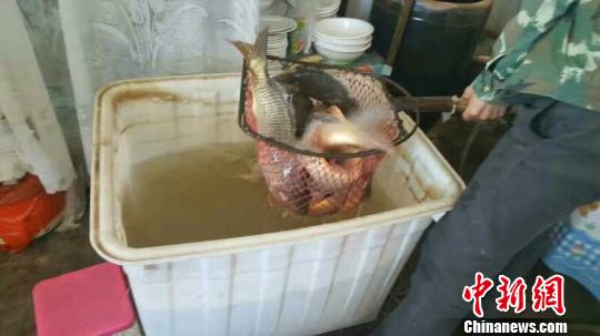 ƺɹźӶȫ߿ͨ㡰Ρϲ