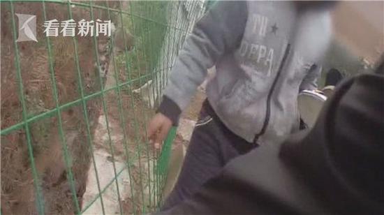 (视频来源:重庆新闻 编辑:周杰)