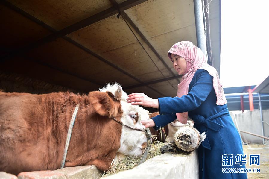 �����ᡤ��ְ�ǡ����ڻ��⣩��7�����ٴ���������ţ������Ϊũ�����