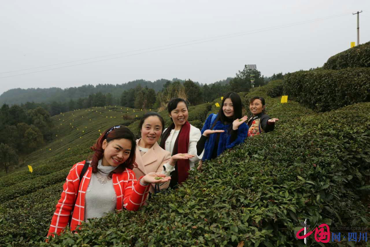 平昌实验小学:走基层、看变化、谋发展 开展系列活动庆祝“三八”国际妇女节 平昌实验小学:走基层、看变化、谋发展 开展系列活动庆祝“三八”国际妇女节