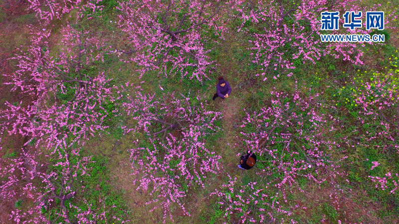 ������ý����ת�ģ�������� ����üɽ�ߵ�Զ�����һ�