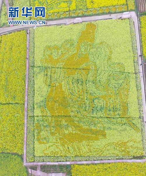 (网络媒体走转改)德阳什邡油菜花田现仙女图 (网络媒体走转改)德阳什邡油菜花田现仙女图