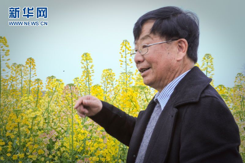 (网络媒体走转改)德阳什邡油菜花田现仙女图 (网络媒体走转改)德阳什邡油菜花田现仙女图