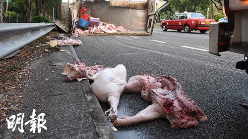 ���һ�����������ܳ����������⡰ʬ���ء�