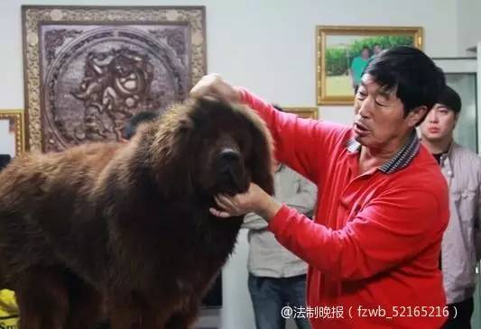 ����Э����ϯ������