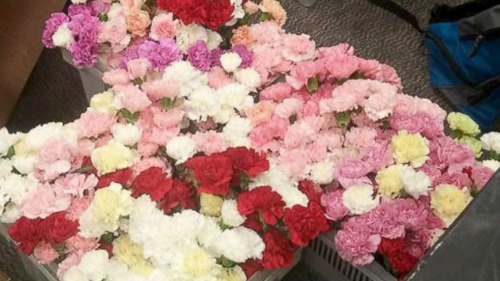 ����У԰ů�д�һ������˽�ǰ����ȫУŮ��