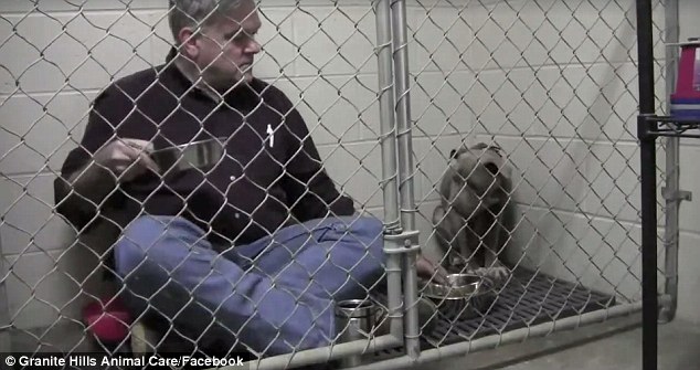 Ӣ����ҽΪ��ο���˹������������н���