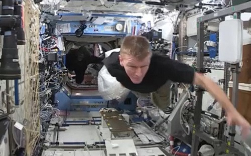 Ӣ���ԱƤ�˱������ɡ�׷�����ܡ�ͼƬ��Դ���������