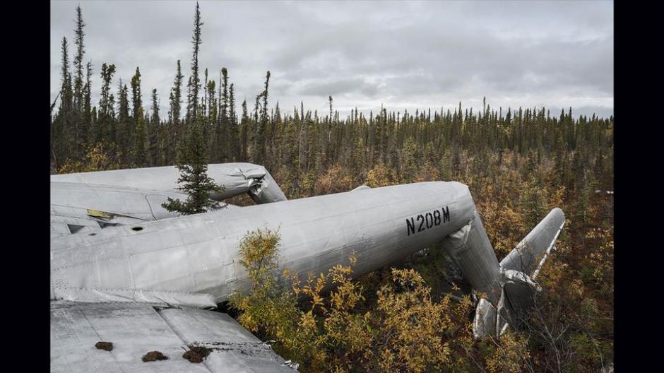 ʷ��ʮ���漣׹�������ֳ�