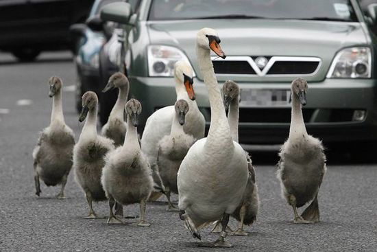 С������,������,�̵���Щ����ռ��·�����Զ�����