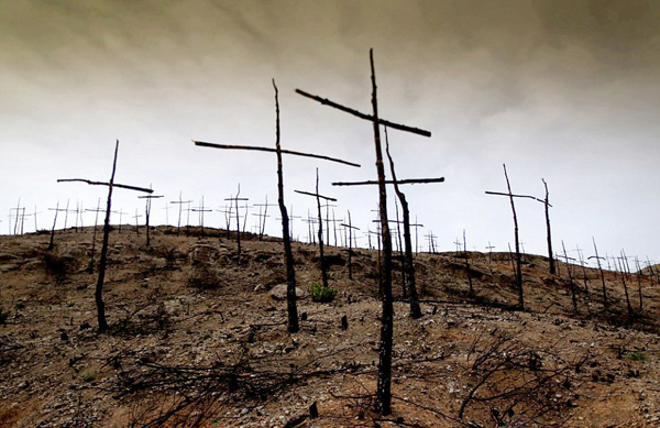 ����������Ա������ǧʮ�ּܼ�������ջ�ɭ��