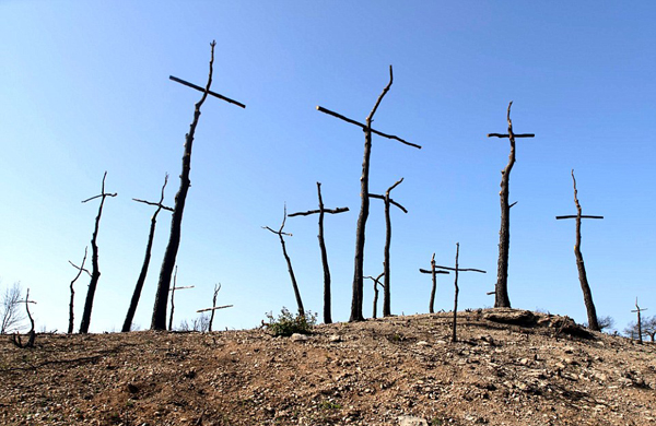 ����������Ա������ǧʮ�ּܼ�������ջ�ɭ��