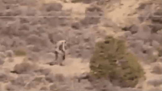 ��Ѫ����������?������ɳĮ�����ι��� ����һ������