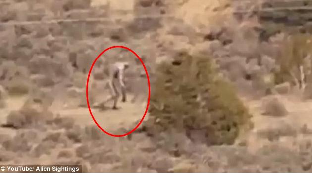 ��Ѫ����������?������ɳĮ�����ι��� ����һ������