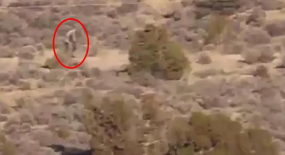 ��Ѫ����������?������ɳĮ�����ι��� ����һ������