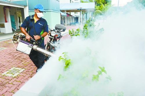 23名中国人在新加坡感染寨卡病毒 部分人已痊愈 23名中国人在新加坡感染寨卡病毒 部分人已痊愈