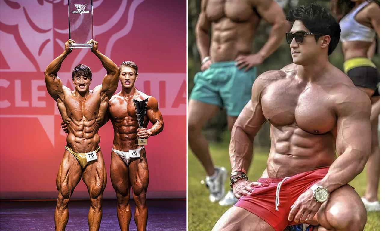 ������ģ�������������� ����������ѹŷ��