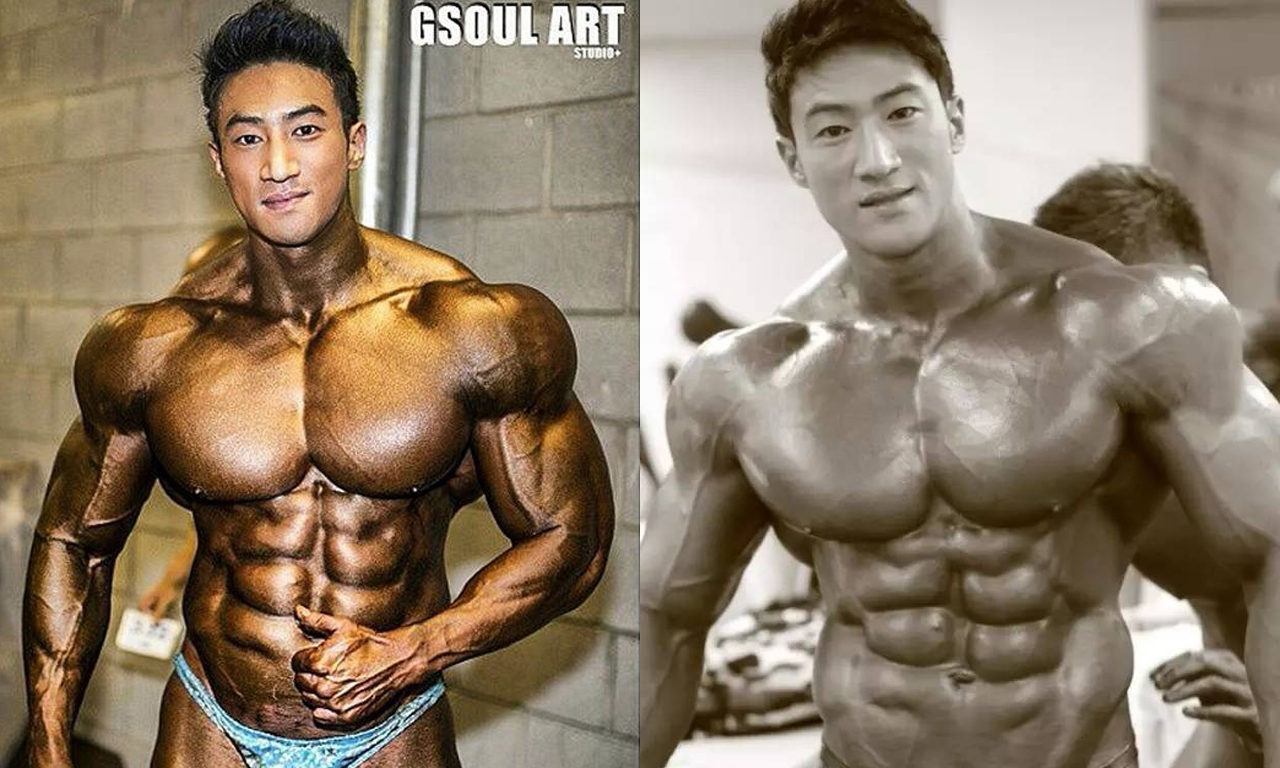 ������ģ�������������� ����������ѹŷ��