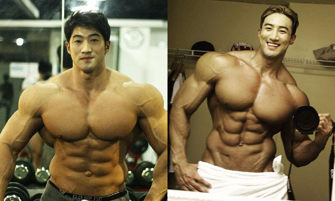 ������ģ�������������� ����������ѹŷ��