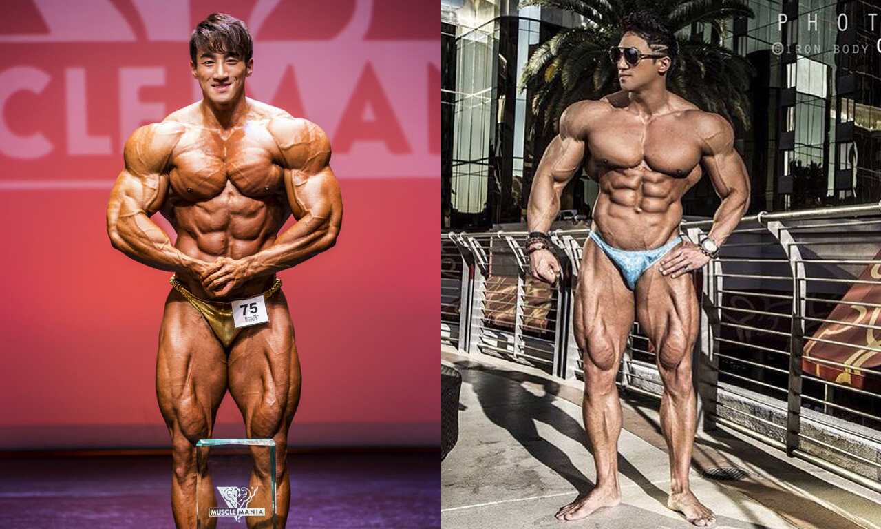 ������ģ�������������� ����������ѹŷ��