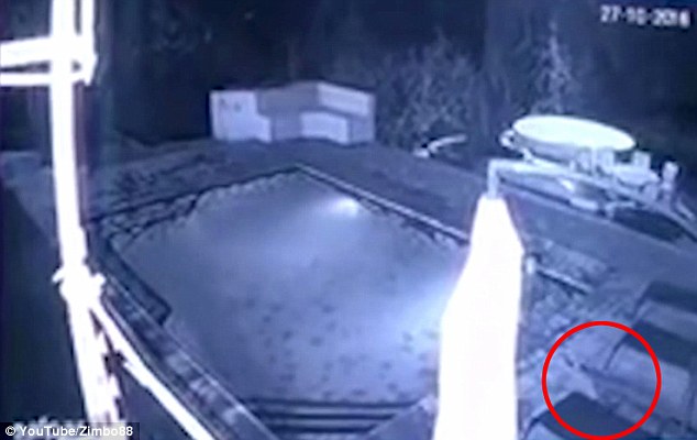 日前,一对情侣在非洲的一间旅馆游泳池夜游时,一只鳄鱼突然跳进,欢乐时光差点变成骇人血浴。