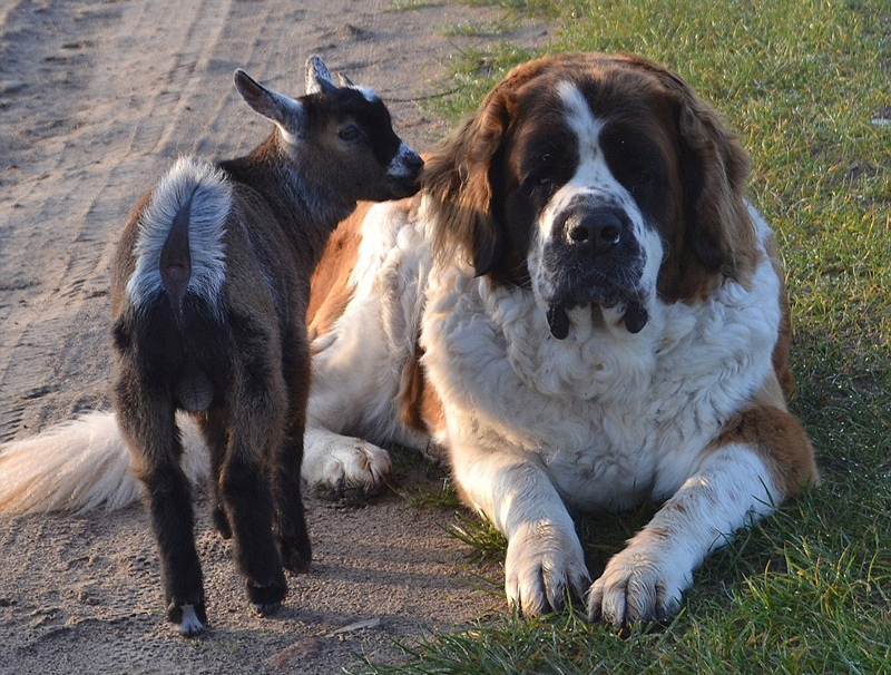 ů��!����ʱũ��ʥ����Ȯ��������ɥĸС���