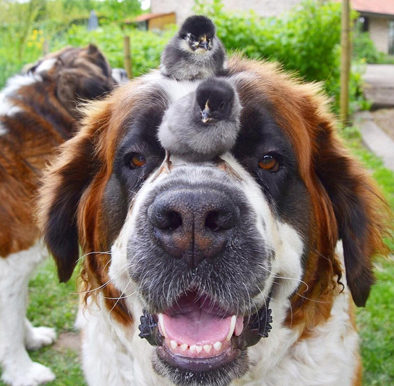 ů��!����ʱũ��ʥ����Ȯ��������ɥĸС���