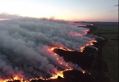 �������ɹŹ����ƽ��й����½�4�컹���գ�