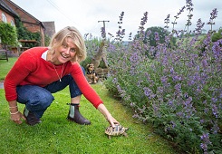 ���棡Ӣ�����ʧ��2����漣�ص����˼�