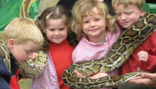 Ӣ�����¶���԰ Я������ʨ�߱���ͬ�ӡ�